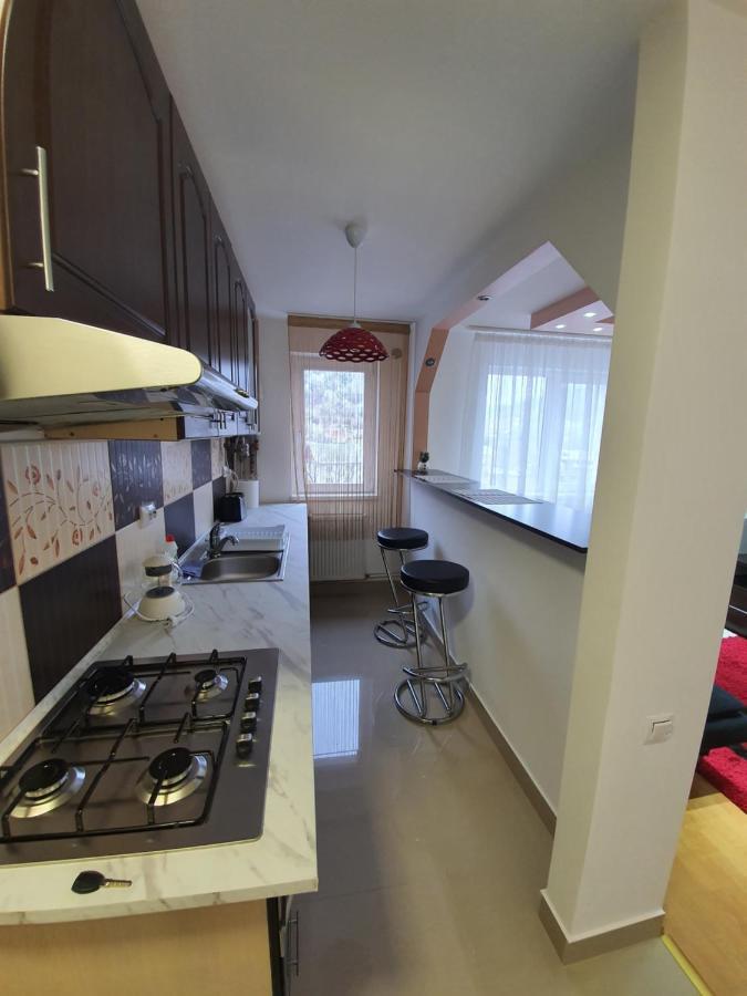 19 Residence Apartment Cavnic Eksteriør bilde