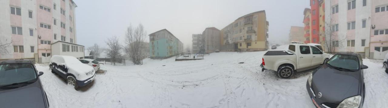 19 Residence Apartment Cavnic Eksteriør bilde