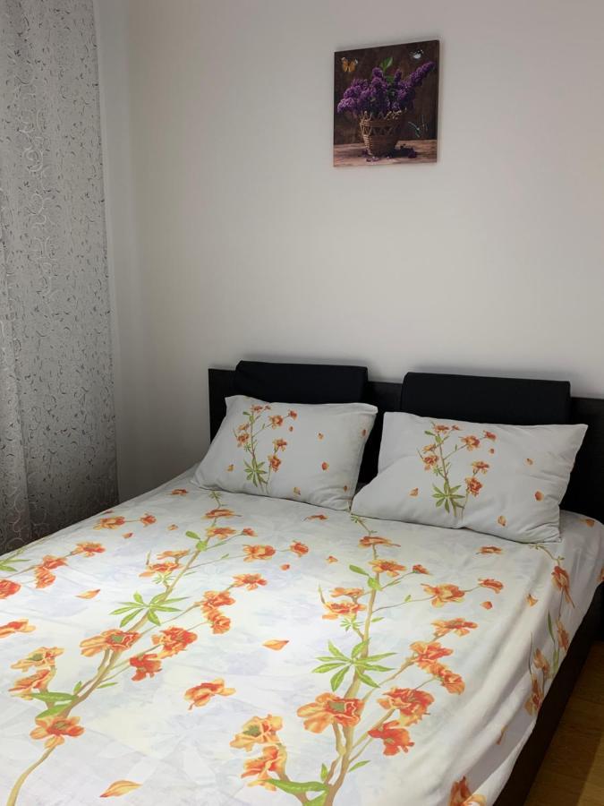 19 Residence Apartment Cavnic Eksteriør bilde
