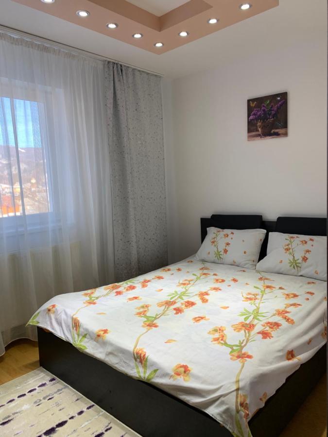 19 Residence Apartment Cavnic Eksteriør bilde